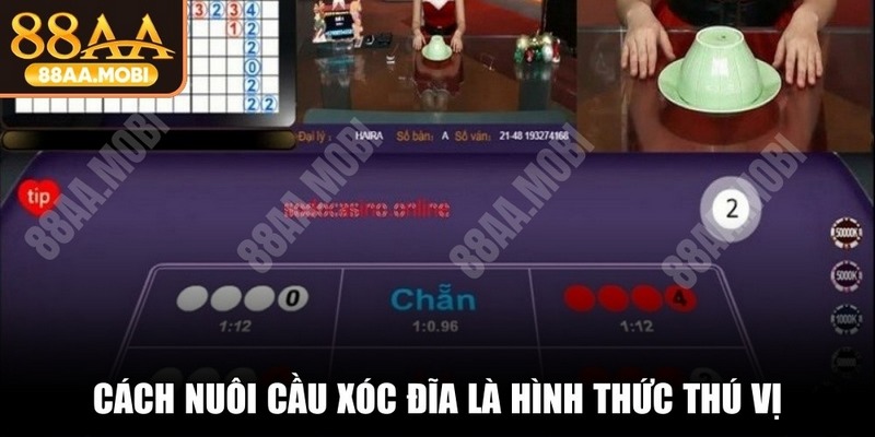 Cách nuôi cầu Xóc Đĩa là một trong các hình thức thú vị